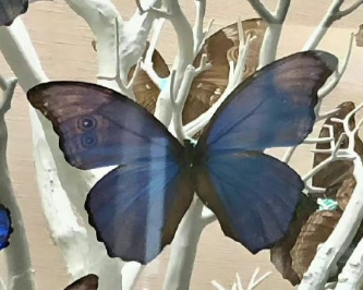 看一眼就的诛心文案 字字诛心的现实语录 看一眼就的诛心文案 字字诛心的现实语录