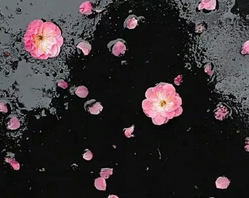 看一眼就的诛心文案 字字诛心的现实语录 看一眼就的诛心文案 字字诛心的现实语录