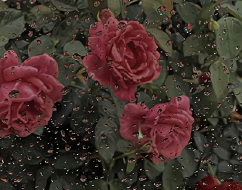 极度缺乏安全感说说 缺乏安全感的心酸句子 极度缺乏安全感说说 缺乏安全感的心酸句子