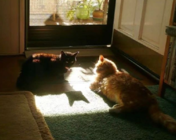 关于重庆的文案简短 打卡重庆的说说朋友圈 关于重庆的文案简短 打卡重庆的说说朋友圈