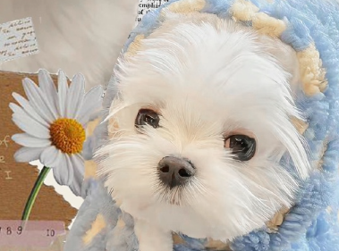 做一个拎得清的人的说说 要做一个人拎得清看得透的人的短句 做一个拎得清的人的说说 要做一个人拎得清看得透的人的短句