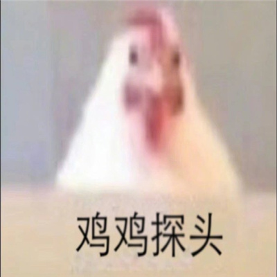 小动物探头表情最新合集 吗喽探头