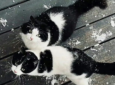 很有意境的八字暖心小短句 一眼沦陷的温柔八字短句