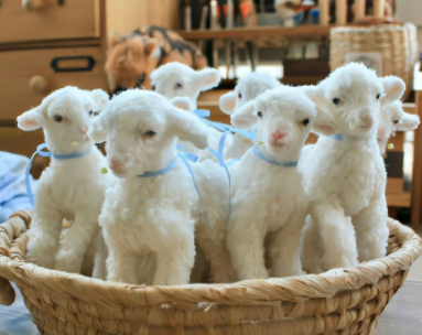 每天总是想很多的说说 脑子里总是胡思乱想的短句