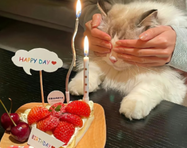 每天总是想很多的说说 脑子里总是胡思乱想的短句 每天总是想很多的说说 脑子里总是胡思乱想的短句