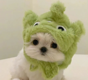 特别温柔的宝藏签名很耐听 精致且美好的仙气签名 特别温柔的宝藏签名很耐听 精致且美好的仙气签名