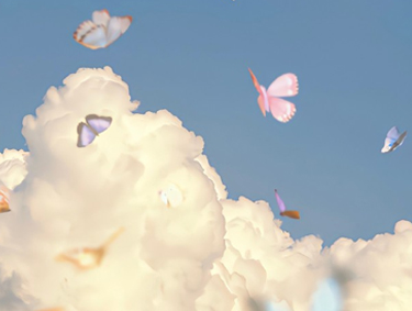 每天都能收到鲜花的心情说说 收到鲜花低调发朋友圈 每天都能收到鲜花的心情说说 收到鲜花低调发朋友圈