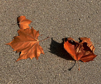 美好都在来的路上句子 一切美好在路上的文案短句