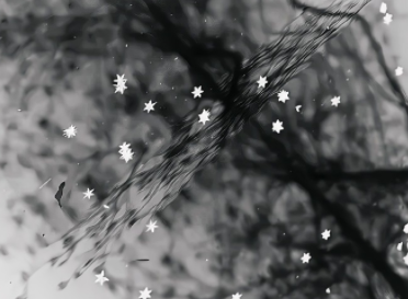 三观一致很重要的说说 遇到三观一致的人语录