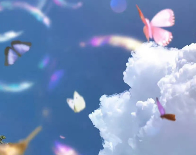 找工作被嫌弃年龄大的说说 找工作的心酸说说朋友圈