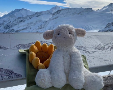 最近超火的约会自卑搞笑文案 热度超高的搞笑语录