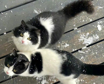 生活顺风顺水的说说 期待生活更加美好的句子