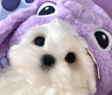 有点治愈的小众签名独一无二 小众不落俗的签名 有点治愈的小众签名独一无二 小众不落俗的签名