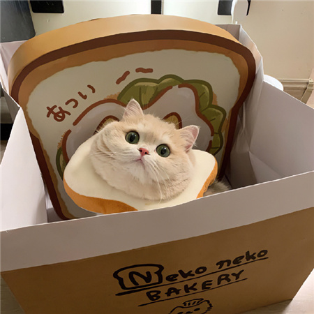 2024最新版很时髦的高清背景图 听说你很冷刚好我很暖