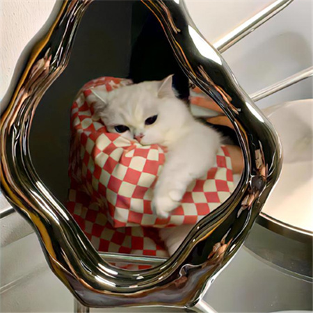 清新小众爆棚的配图颜值吸引人 2024超级吸引人的配图