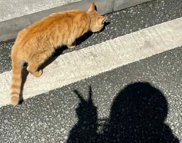 用自己喜欢的方式过一生的说说 按自己喜欢的方式生活说说 用自己喜欢的方式过一生的说说 按自己喜欢的方式生活说说