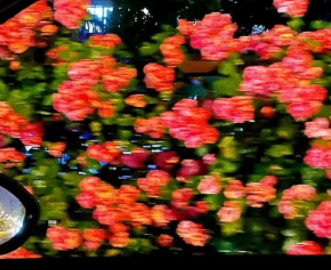 消减抑郁情绪的必做小事 放松心态的实用技巧文案