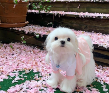 一些表达自己在好好生活的文案 美好生活的幸福短句