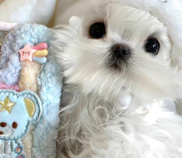 句句入心很有道理的签名 每一句都回味无穷的签名 句句入心很有道理的签名 每一句都回味无穷的签名