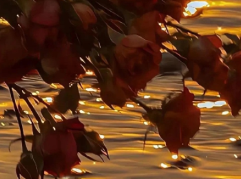 高级的破碎感文案 破碎感be美学文案