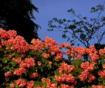 女生高端大气的短句文案 女人低调又霸气的文案 女生高端大气的短句文案 女人低调又霸气的文案