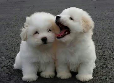 为自己而写的文案短句 写给自己发朋友圈很赞的短句 为自己而写的文案短句 写给自己发朋友圈很赞的短句