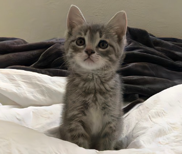 最近脾气大控制不住情绪的文案 最近心烦意乱发脾气的短句