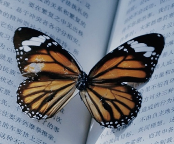 周末好天气好心情户外活动说说 不辜负周末好时光的短句