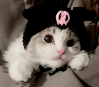 会幸福的网名很好听 带有幸福感的网名大全 会幸福的网名很好听 带有幸福感的网名大全