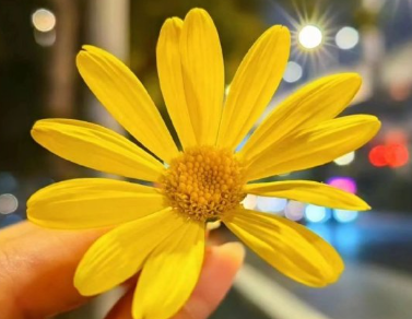 关于幸福的朋友圈文案短句 最新晒幸福的朋友圈文案