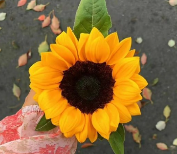 关于幸福的朋友圈文案短句 最新晒幸福的朋友圈文案