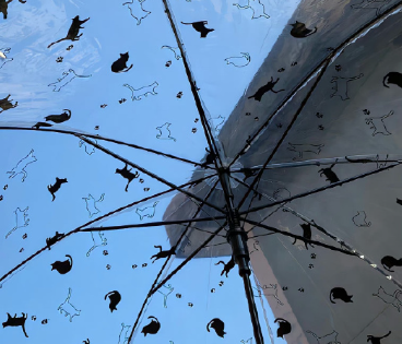 沉默代替所有的个性签名 满满郁闷感的个性签名 沉默代替所有的个性签名 满满郁闷感的个性签名