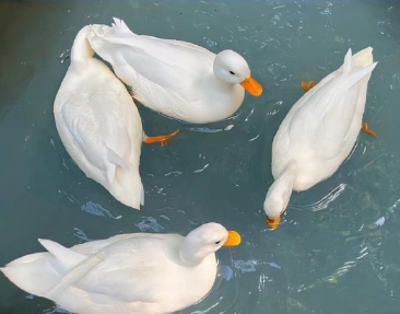 微信网名独特成熟吸引人 2024版很有涵养的昵称 微信网名独特成熟吸引人 2024版很有涵养的昵称