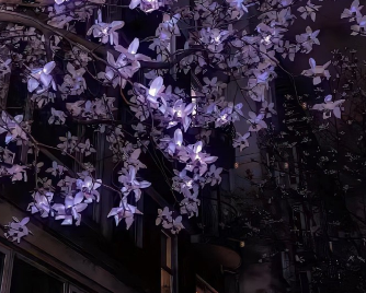 谁看了都想点赞的文案 好听的气质的秒赞语录 谁看了都想点赞的文案 好听的气质的秒赞语录