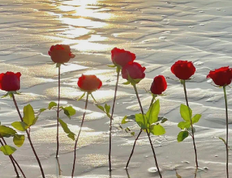 看淡一切爱自己的网名 余生爱自己的微信昵称 看淡一切爱自己的网名 余生爱自己的微信昵称