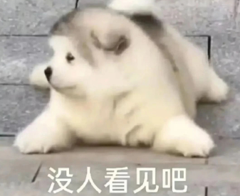 适合早上发的发疯文案 早上起来发朋友圈的幽默短句 适合早上发的发疯文案 早上起来发朋友圈的幽默短句