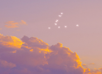 女生皮到欠揍的搞笑文案 适合女孩子的挨揍文学语录