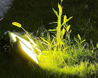 平凡的日子里泛着光的文案 平凡的日子也精彩文案 平凡的日子里泛着光的文案 平凡的日子也精彩文案