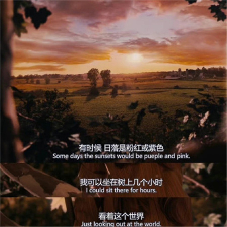 很赞的电影台词截图图片 但是他们都太年轻还不懂如何去爱