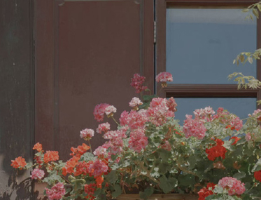 春季踏春的心情说说 踏春心情愉悦的短句 春季踏春的心情说说 踏春心情愉悦的短句