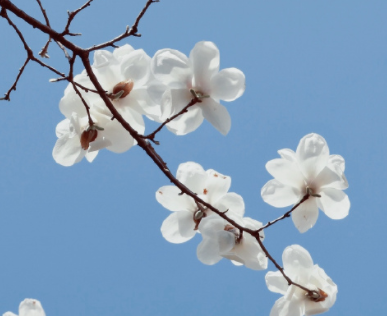 参加婚礼很感动的说说 婚礼现场被感动的说说 参加婚礼很感动的说说 婚礼现场被感动的说说