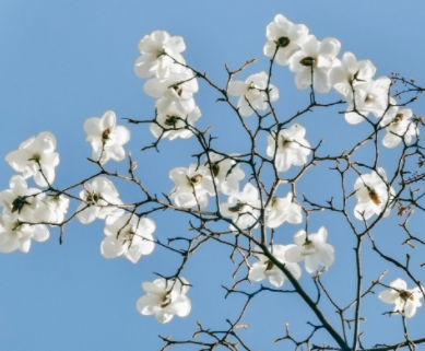 参加婚礼很感动的说说 婚礼现场被感动的说说 参加婚礼很感动的说说 婚礼现场被感动的说说