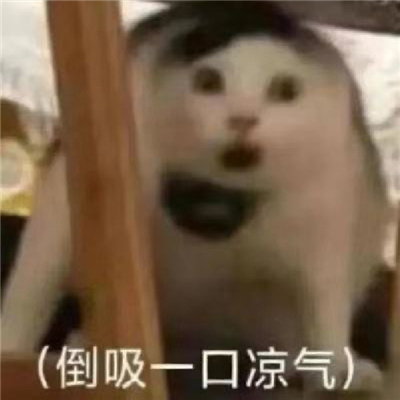 人一看就想回你消息的表情 看那有个傻子