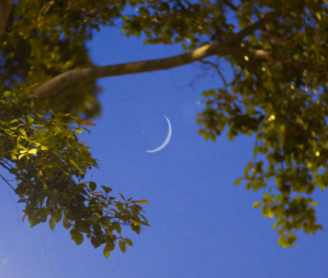 哺乳期熬夜很累的说说  母乳喂养熬夜心酸说说