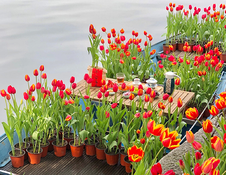 2023春季温馨的朋友圈短句 春暖花开心情舒畅的文案