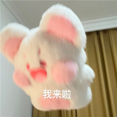 让你一秒变开心的表情 开心又很调皮的表情最新