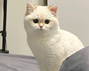 告诫自己要长记性的句子 提醒自己以后必须长记性的说说 告诫自己要长记性的句子 提醒自己以后必须长记性的说说