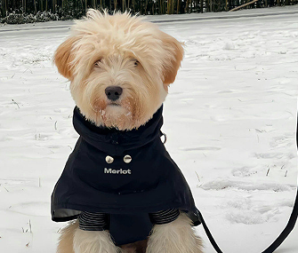 2023渣男最爱的个性签名 绝版渣男个性签名 2023渣男最爱的个性签名 绝版渣男个性签名