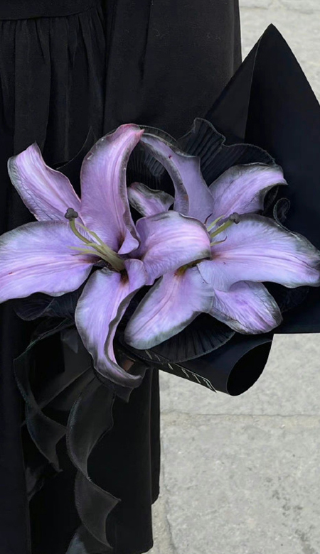 夏季专属清新感十足的ins壁纸 超级赞的锁屏壁纸合集