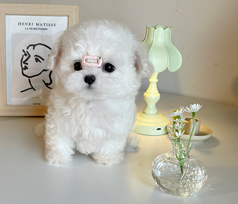 高质量签名小众又惊艳 小众简洁的个性签名 高质量签名小众又惊艳 小众简洁的个性签名